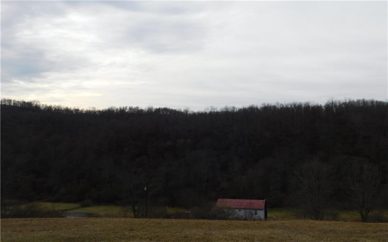 1964 Toms Run Rd, Holbrook, 15341, 4 Bedrooms Bedrooms, ,1.2 BathroomsBathrooms,Farm-acreage-lot,For Sale,Garage and barn,Toms Run Rd,1736752