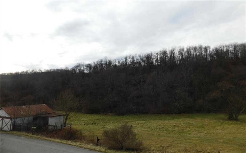 1964 Toms Run Rd, Holbrook, 15341, 4 Bedrooms Bedrooms, ,1.2 BathroomsBathrooms,Farm-acreage-lot,For Sale,Garage and barn,Toms Run Rd,1736752