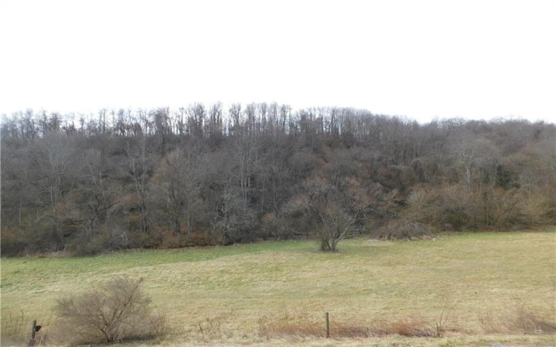 1964 Toms Run Rd, Holbrook, 15341, 4 Bedrooms Bedrooms, ,1.2 BathroomsBathrooms,Farm-acreage-lot,For Sale,Garage and barn,Toms Run Rd,1736752