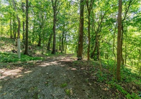 2019 7th St Rd, New Kensington, 15068, ,Farm-acreage-lot,For Sale,7th St Rd,1726349 2019 7th St Rd, New Kensington, 15068, ,Farm-acreage-lot,For Sale,7th St Rd,1726349