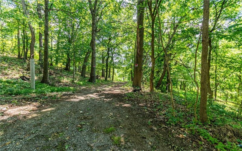 2019 7th St Rd, New Kensington, 15068, ,Farm-acreage-lot,For Sale,7th St Rd,1726349