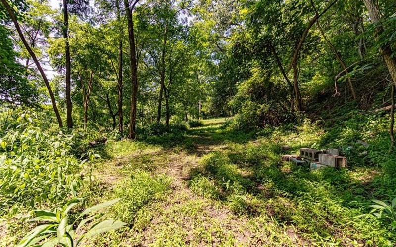 2019 7th St Rd, New Kensington, 15068, ,Farm-acreage-lot,For Sale,7th St Rd,1726349