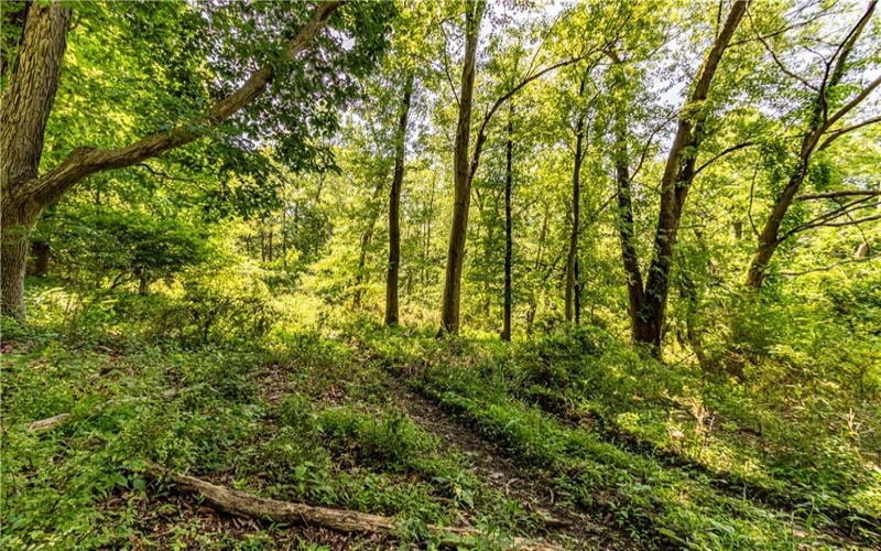 2019 7th St Rd, New Kensington, 15068, ,Farm-acreage-lot,For Sale,7th St Rd,1726349