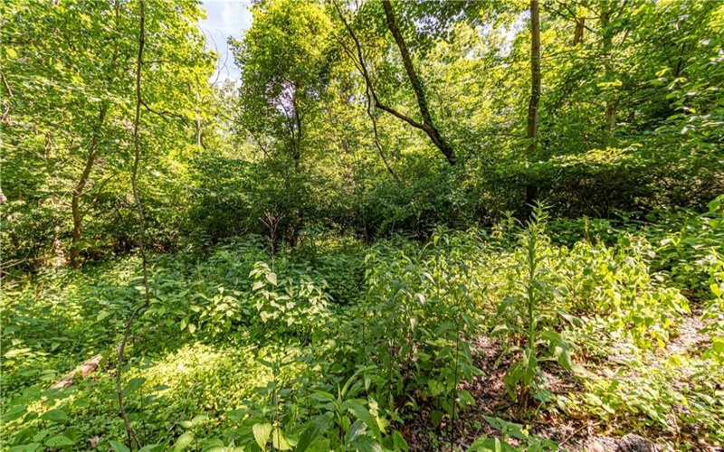 2019 7th St Rd, New Kensington, 15068, ,Farm-acreage-lot,For Sale,7th St Rd,1726349