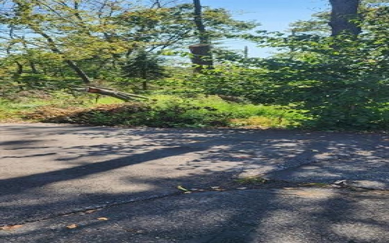0 Watson Road, 15613, 15613, ,Farm-acreage-lot,For Sale,Watson Road,1726392