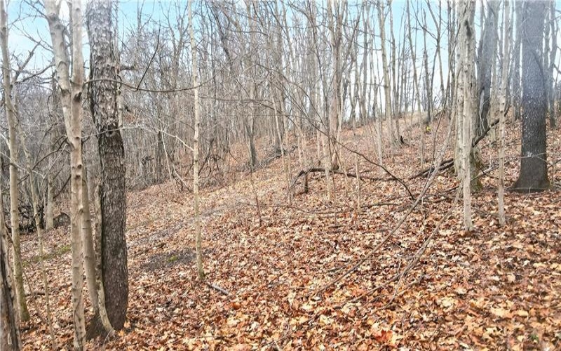 220 Main Rd, West Alexander, 15376, 4 Bedrooms Bedrooms, ,2.1 BathroomsBathrooms,Farm-acreage-lot,For Sale,2,Main Rd,1740019