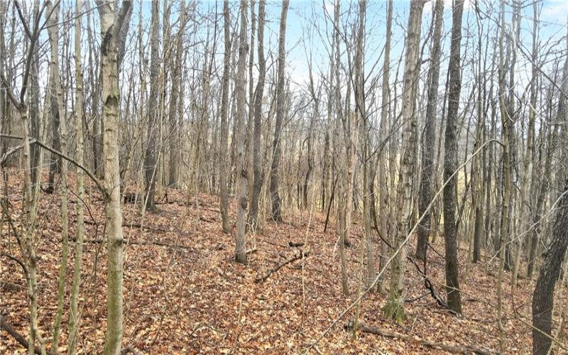 220 Main Rd, West Alexander, 15376, 4 Bedrooms Bedrooms, ,2.1 BathroomsBathrooms,Farm-acreage-lot,For Sale,2,Main Rd,1740019