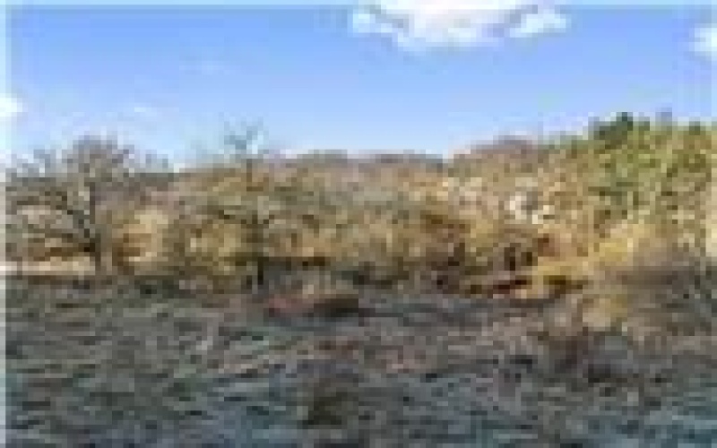 0 Williams Street, Washington, 15301, ,Farm-acreage-lot,For Sale,Williams Street,1740097