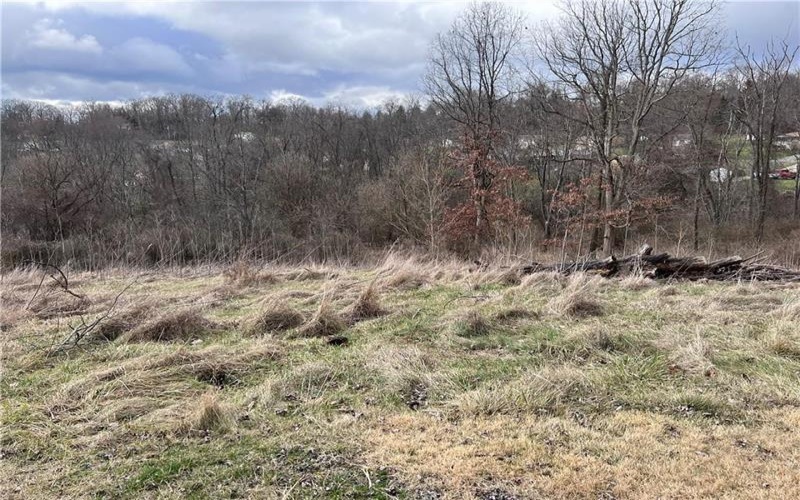 0 Williams Street, Washington, 15301, ,Farm-acreage-lot,For Sale,Williams Street,1740097