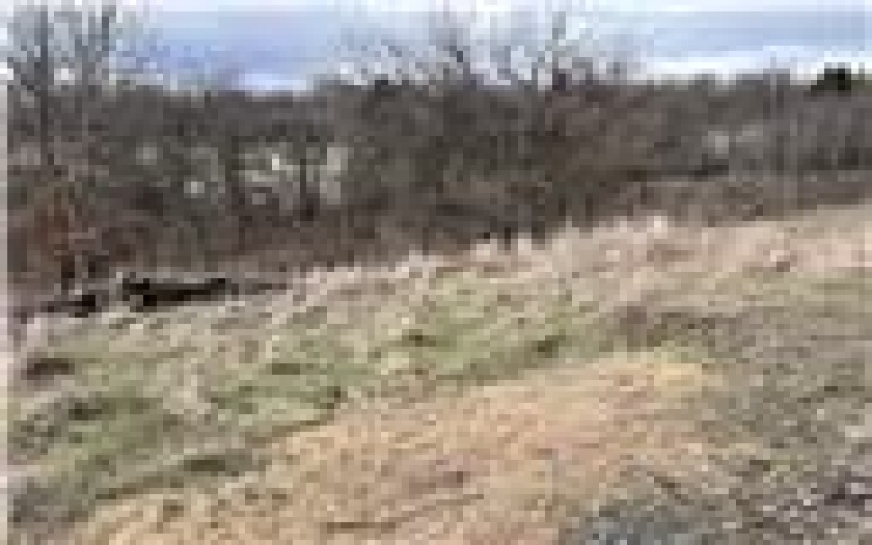 0 Williams Street, Washington, 15301, ,Farm-acreage-lot,For Sale,Williams Street,1740097