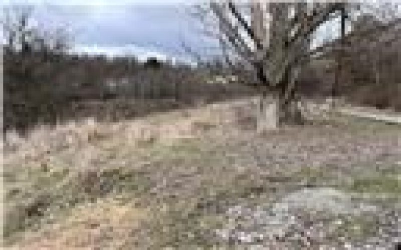 0 Williams Street, Washington, 15301, ,Farm-acreage-lot,For Sale,Williams Street,1740097