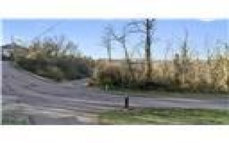 0 Williams Street, Washington, 15301, ,Farm-acreage-lot,For Sale,Williams Street,1740097