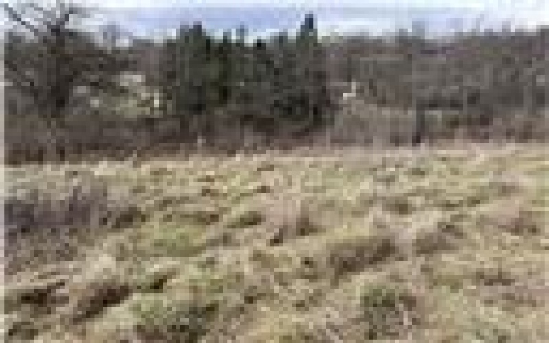 0 Williams Street, Washington, 15301, ,Farm-acreage-lot,For Sale,Williams Street,1740097