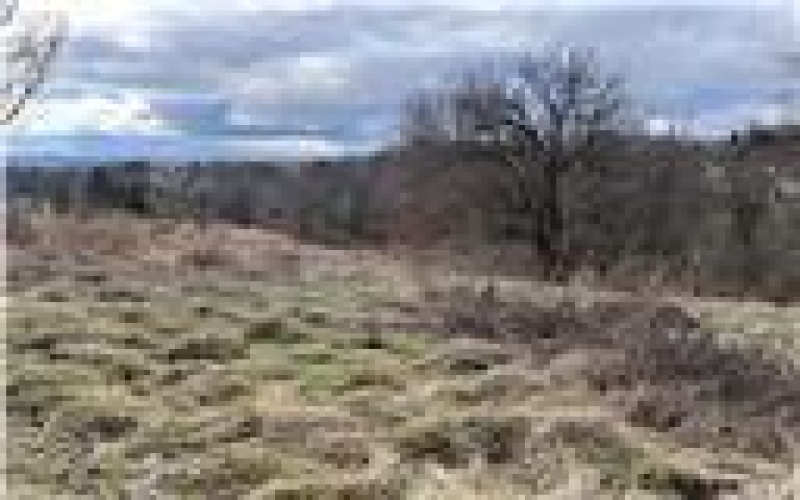 0 Williams Street, Washington, 15301, ,Farm-acreage-lot,For Sale,Williams Street,1740097