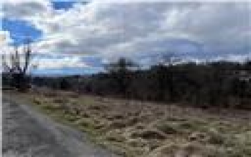 0 Williams Street, Washington, 15301, ,Farm-acreage-lot,For Sale,Williams Street,1740097