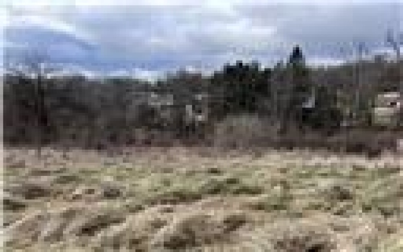 0 Williams Street, Washington, 15301, ,Farm-acreage-lot,For Sale,Williams Street,1740097