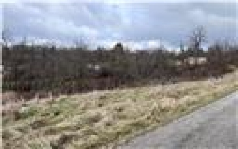 0 Williams Street, Washington, 15301, ,Farm-acreage-lot,For Sale,Williams Street,1740097