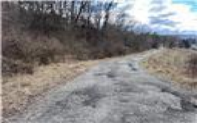 0 Williams Street, Washington, 15301, ,Farm-acreage-lot,For Sale,Williams Street,1740097