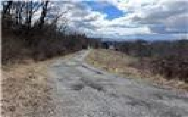 0 Williams Street, Washington, 15301, ,Farm-acreage-lot,For Sale,Williams Street,1740097