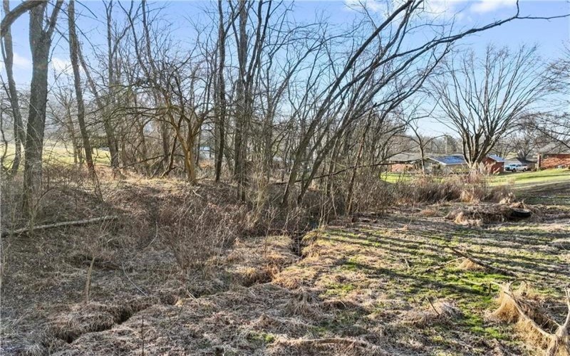 0 Williams Street, Washington, 15301, ,Farm-acreage-lot,For Sale,Williams Street,1740097