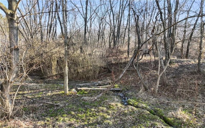 0 Williams Street, Washington, 15301, ,Farm-acreage-lot,For Sale,Williams Street,1740097