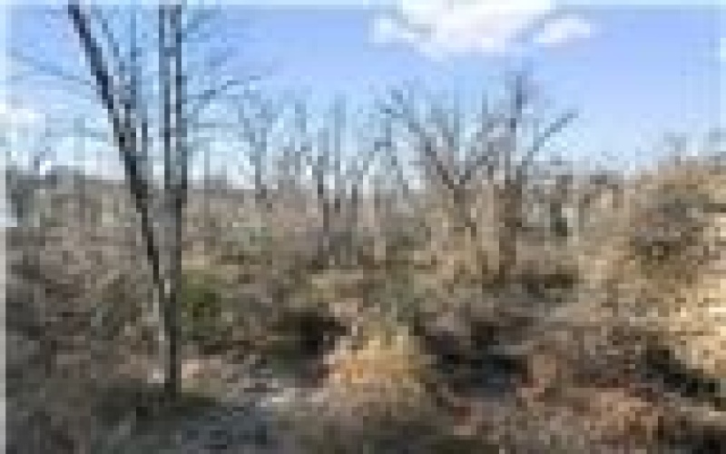 0 Williams Street, Washington, 15301, ,Farm-acreage-lot,For Sale,Williams Street,1740097