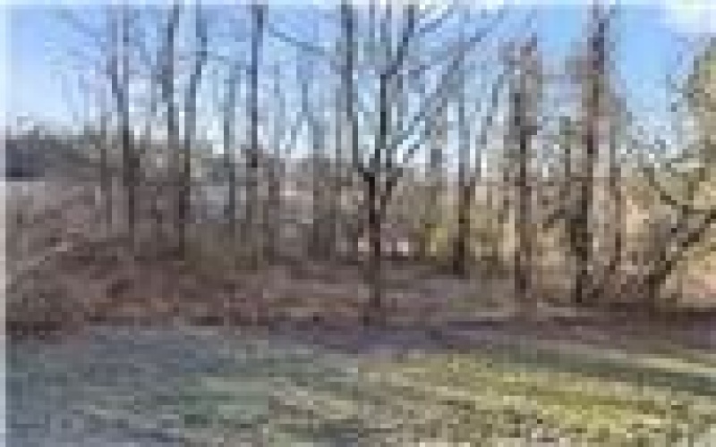 0 Williams Street, Washington, 15301, ,Farm-acreage-lot,For Sale,Williams Street,1740097