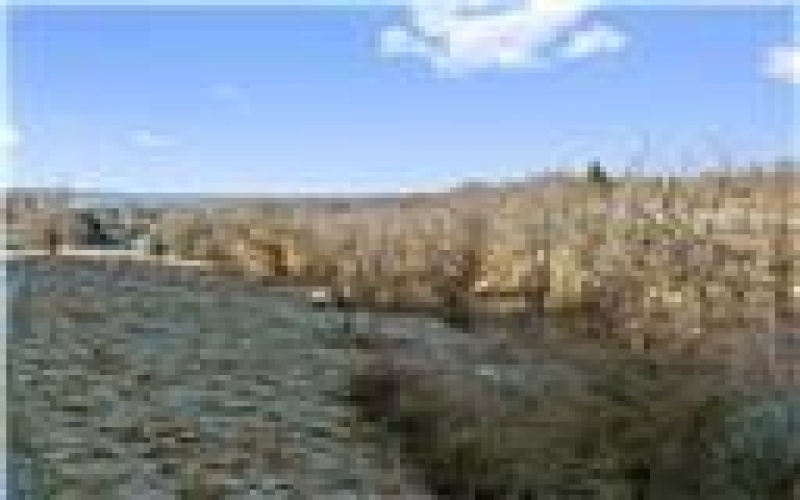 0 Williams Street, Washington, 15301, ,Farm-acreage-lot,For Sale,Williams Street,1740097