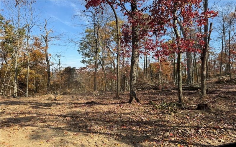 00 Fallen Timber, Independence, 15312, ,Farm-acreage-lot,For Sale,None,Fallen Timber,1726581