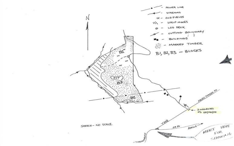 00 Fallen Timber, Independence, 15312, ,Farm-acreage-lot,For Sale,None,Fallen Timber,1726581