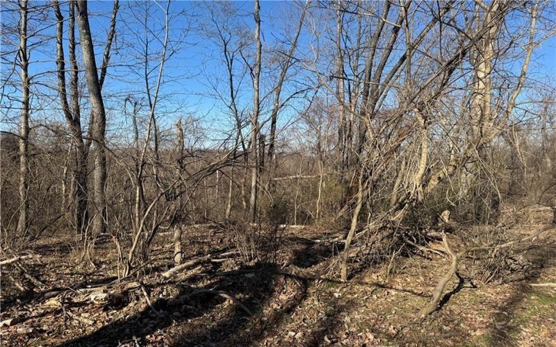 00 Fallen Timber, Independence, 15312, ,Farm-acreage-lot,For Sale,None,Fallen Timber,1726581