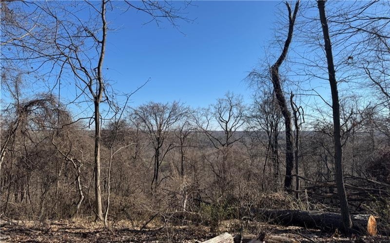 00 Fallen Timber, Independence, 15312, ,Farm-acreage-lot,For Sale,None,Fallen Timber,1726581