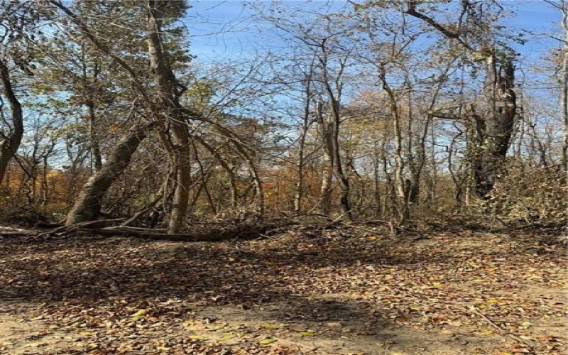 00 Fallen Timber, Independence, 15312, ,Farm-acreage-lot,For Sale,None,Fallen Timber,1726581
