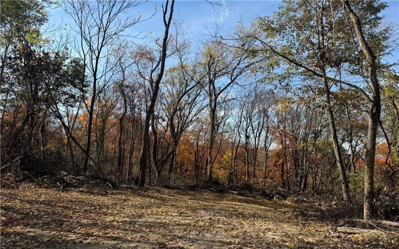 00 Fallen Timber, Independence, 15312, ,Farm-acreage-lot,For Sale,None,Fallen Timber,1726581