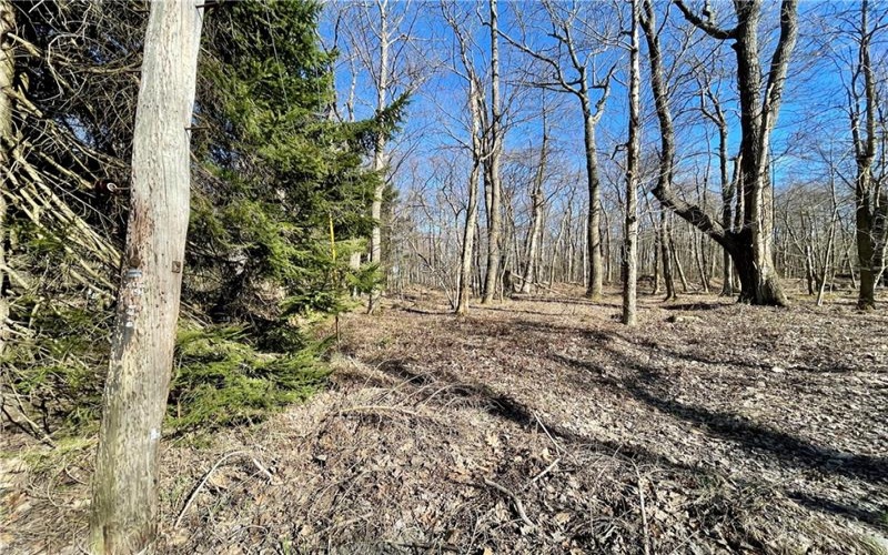 13 14 15 16 Laurel Summit Rd., Boswell, 15531, ,Farm-acreage-lot,For Sale,Laurel Summit Rd.,1742950