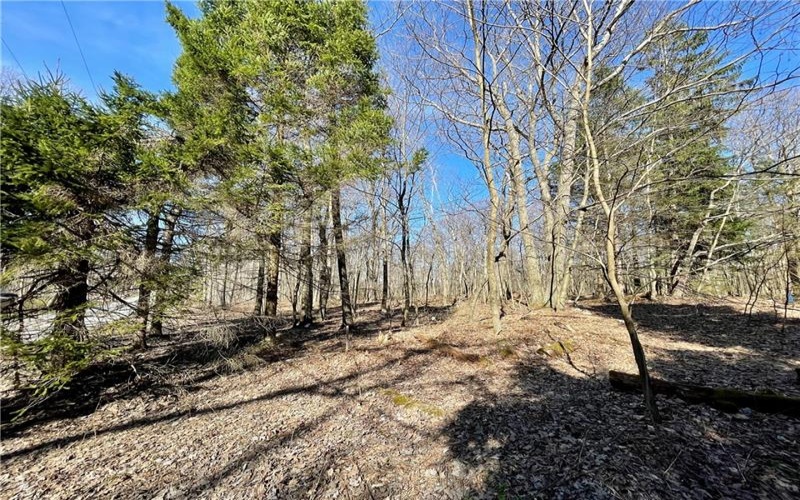 13 14 15 16 Laurel Summit Rd., Boswell, 15531, ,Farm-acreage-lot,For Sale,Laurel Summit Rd.,1742950