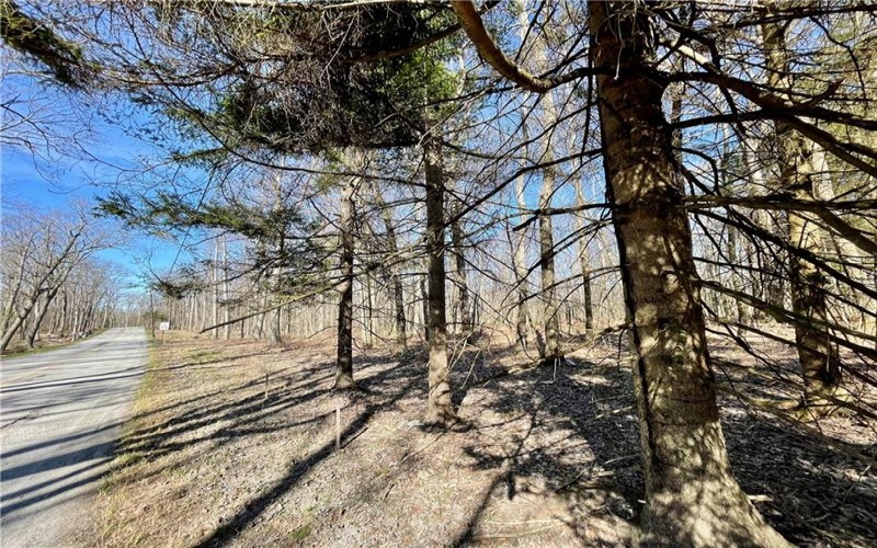 13 14 15 16 Laurel Summit Rd., Boswell, 15531, ,Farm-acreage-lot,For Sale,Laurel Summit Rd.,1742950