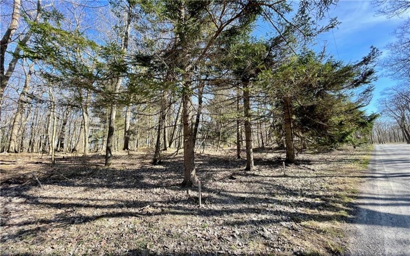 13 14 15 16 Laurel Summit Rd., Boswell, 15531, ,Farm-acreage-lot,For Sale,Laurel Summit Rd.,1742950