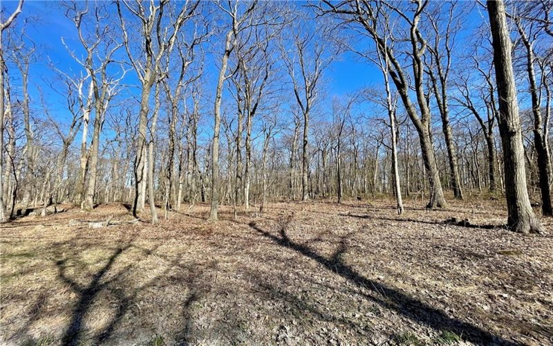 13 14 15 16 Laurel Summit Rd., Boswell, 15531, ,Farm-acreage-lot,For Sale,Laurel Summit Rd.,1742950