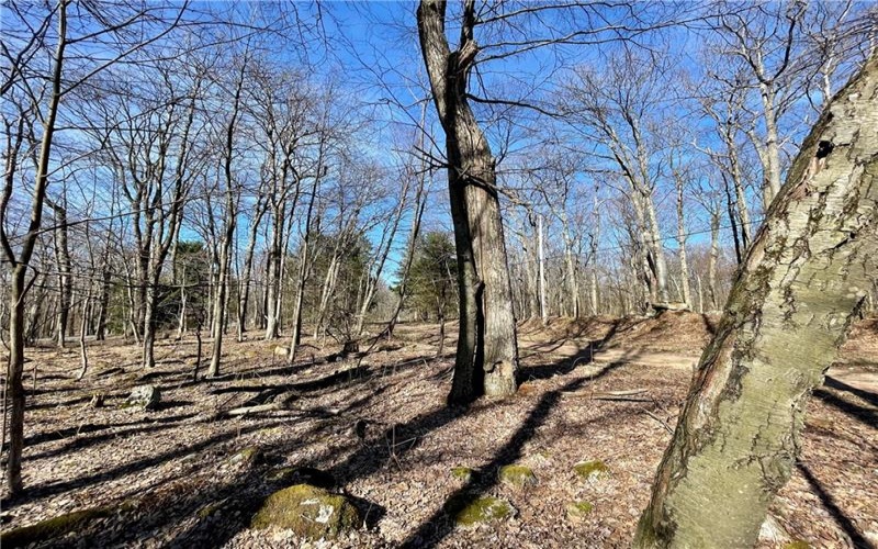 13 14 15 16 Laurel Summit Rd., Boswell, 15531, ,Farm-acreage-lot,For Sale,Laurel Summit Rd.,1742950