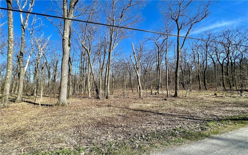 13 14 15 16 Laurel Summit Rd., Boswell, 15531, ,Farm-acreage-lot,For Sale,Laurel Summit Rd.,1742950