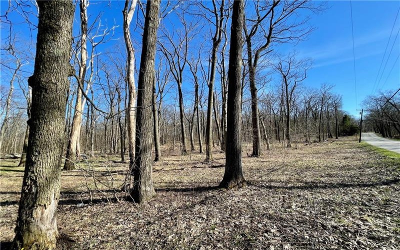 13 14 15 16 Laurel Summit Rd., Boswell, 15531, ,Farm-acreage-lot,For Sale,Laurel Summit Rd.,1742950