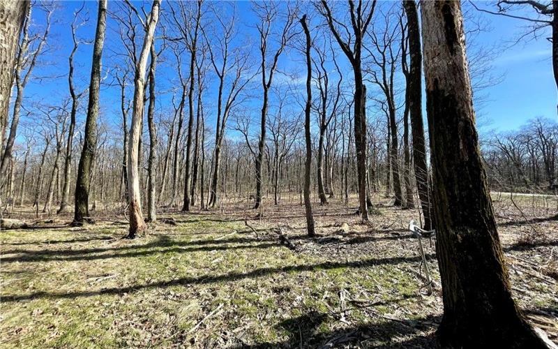 13 14 15 16 Laurel Summit Rd., Boswell, 15531, ,Farm-acreage-lot,For Sale,Laurel Summit Rd.,1742950