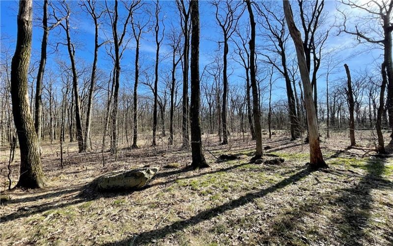 13 14 15 16 Laurel Summit Rd., Boswell, 15531, ,Farm-acreage-lot,For Sale,Laurel Summit Rd.,1742950