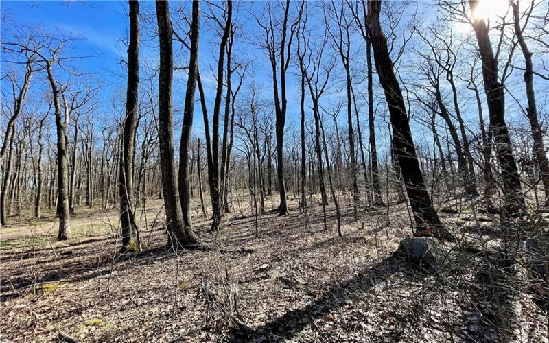 13 14 15 16 Laurel Summit Rd., Boswell, 15531, ,Farm-acreage-lot,For Sale,Laurel Summit Rd.,1742950
