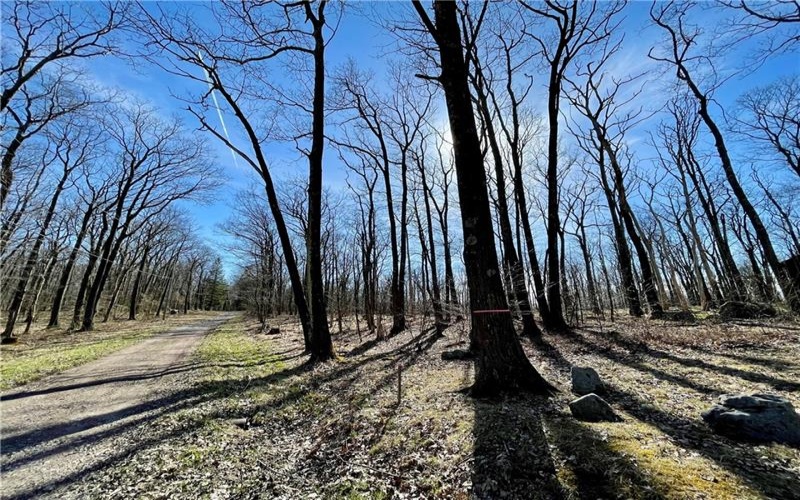 13 14 15 16 Laurel Summit Rd., Boswell, 15531, ,Farm-acreage-lot,For Sale,Laurel Summit Rd.,1742950