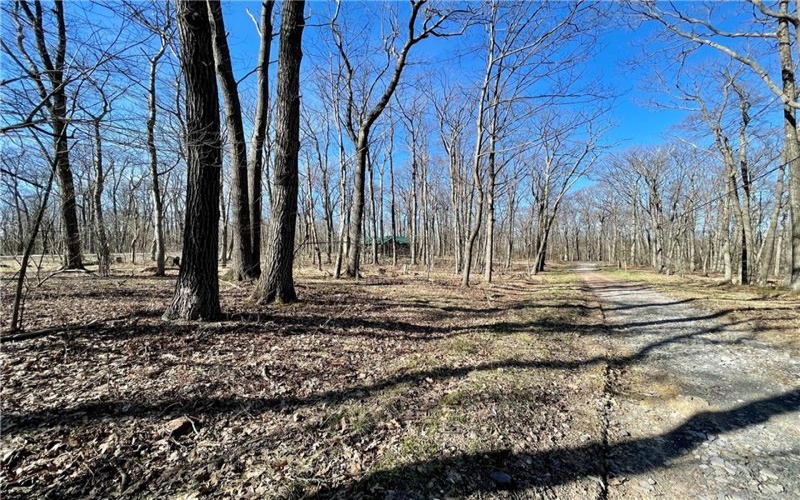 13 14 15 16 Laurel Summit Rd., Boswell, 15531, ,Farm-acreage-lot,For Sale,Laurel Summit Rd.,1742950