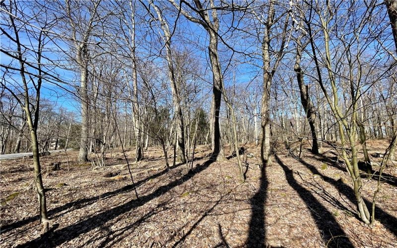 13 14 15 16 Laurel Summit Rd., Boswell, 15531, ,Farm-acreage-lot,For Sale,Laurel Summit Rd.,1742950