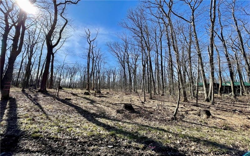 13 14 15 16 Laurel Summit Rd., Boswell, 15531, ,Farm-acreage-lot,For Sale,Laurel Summit Rd.,1742950