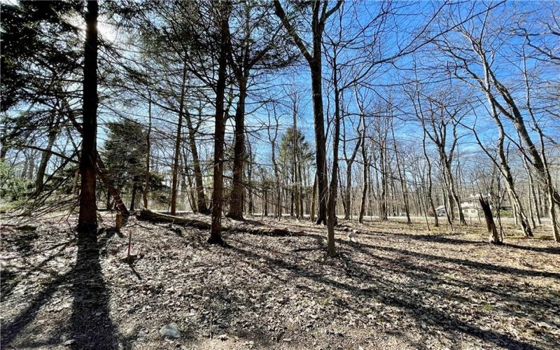 13 14 15 16 Laurel Summit Rd., Boswell, 15531, ,Farm-acreage-lot,For Sale,Laurel Summit Rd.,1742950